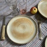 Flat plates in marshes stoneware paris