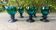 Six Roemer glasses in green blown crystal with "pastilles" decoration