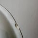 Set of 6 vintage deep plates, "Indian Tree" pattern by Digoin.