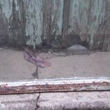 Workshop glass 207 x 141