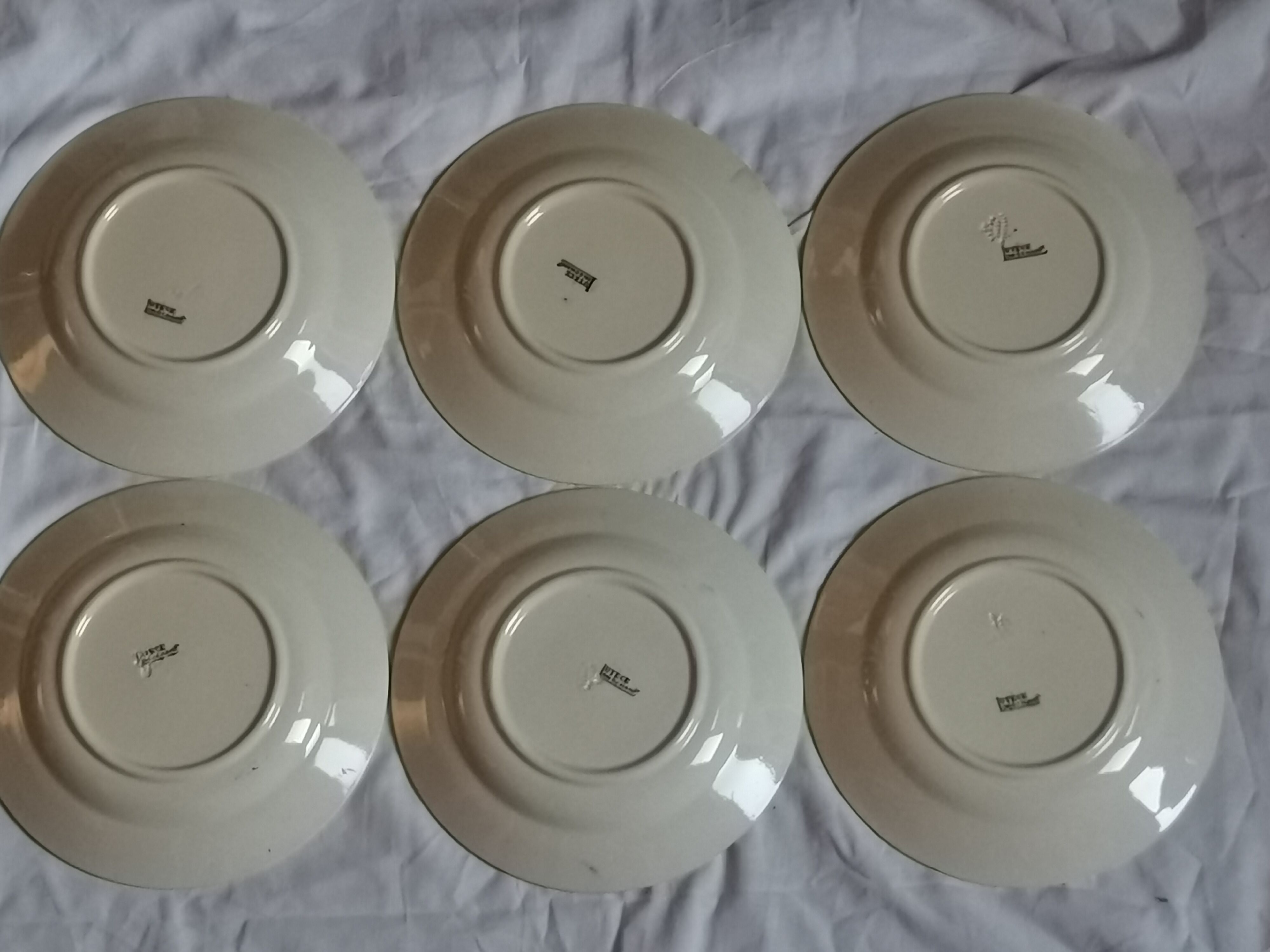 Lot of 6 half-hollow plates in Longchamp iron earth