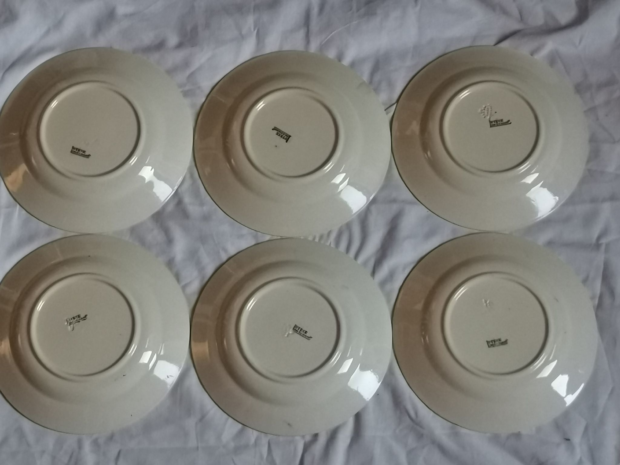 Lot of 6 half-hollow plates in Longchamp iron earth