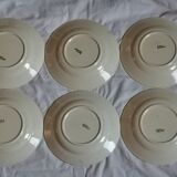 Lot of 6 half-hollow plates in Longchamp iron earth