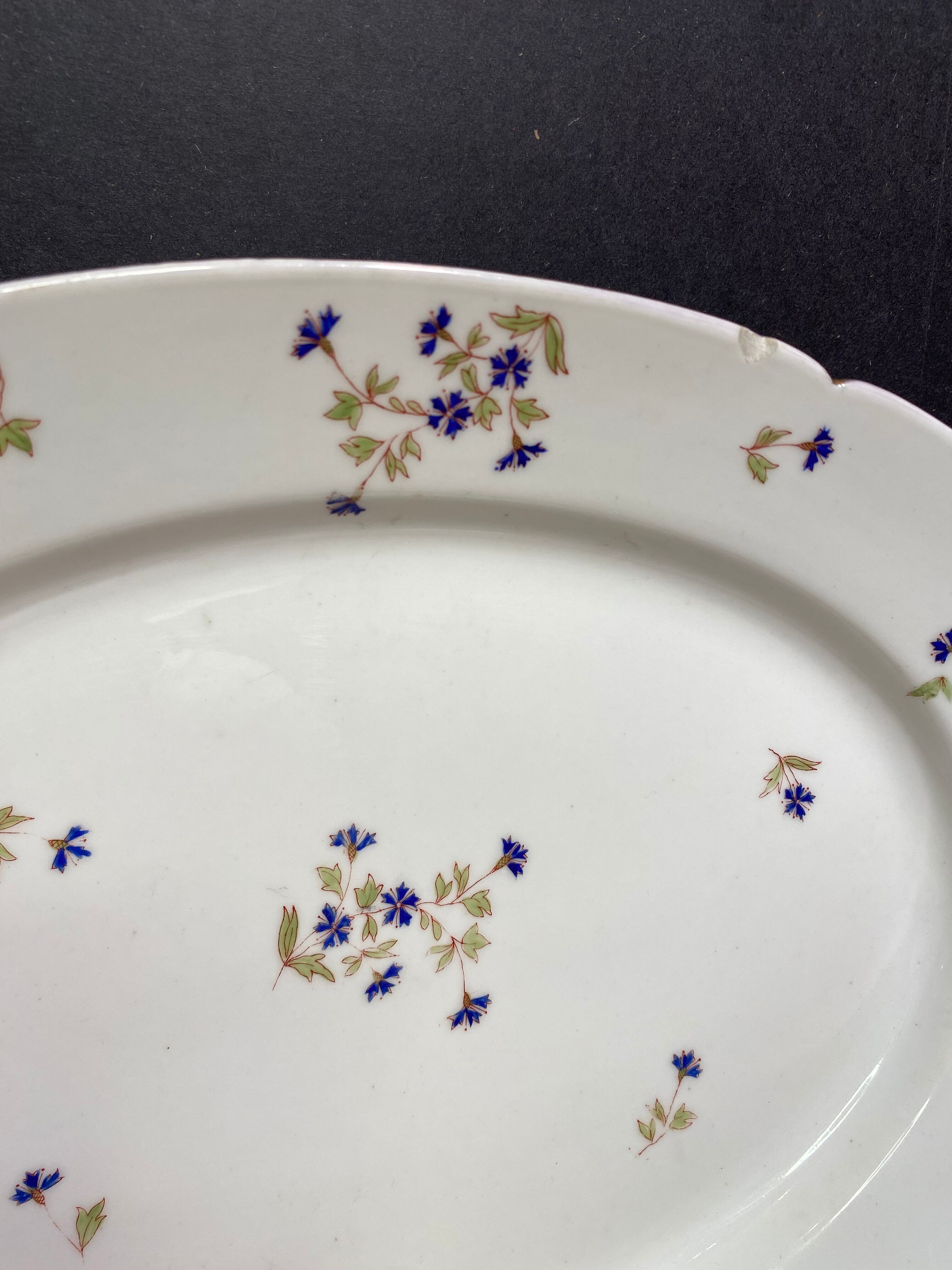 Oval-shaped dish in Limoges porcelain decorated with barbels Louis XV style