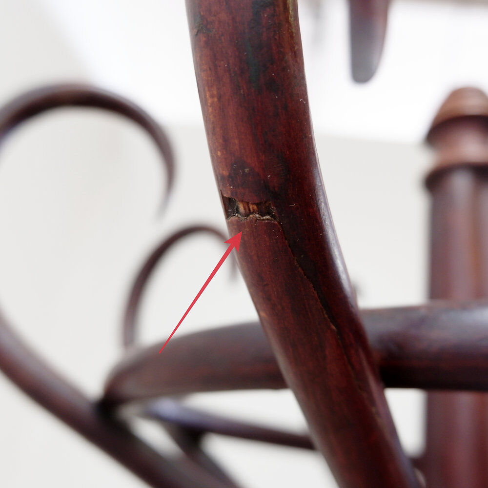 Grand portemanteau "Perroquet" en bois courbé style Thonet – Début du 20ème siècle