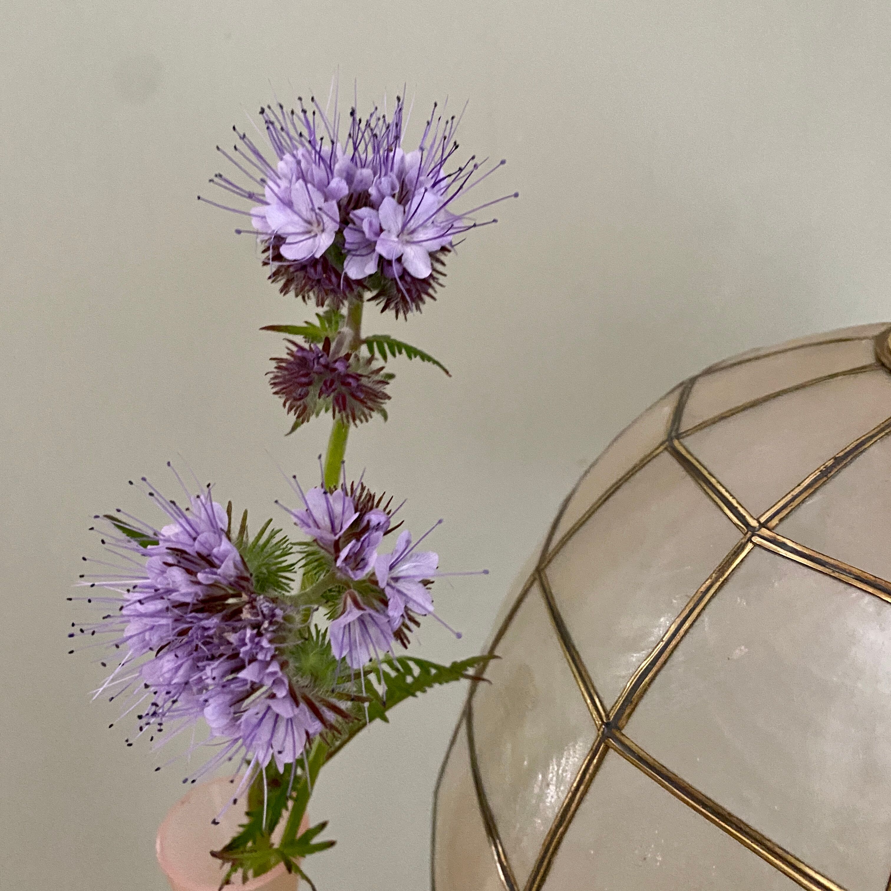Vintage lampshade in mother-of-pearl and brass