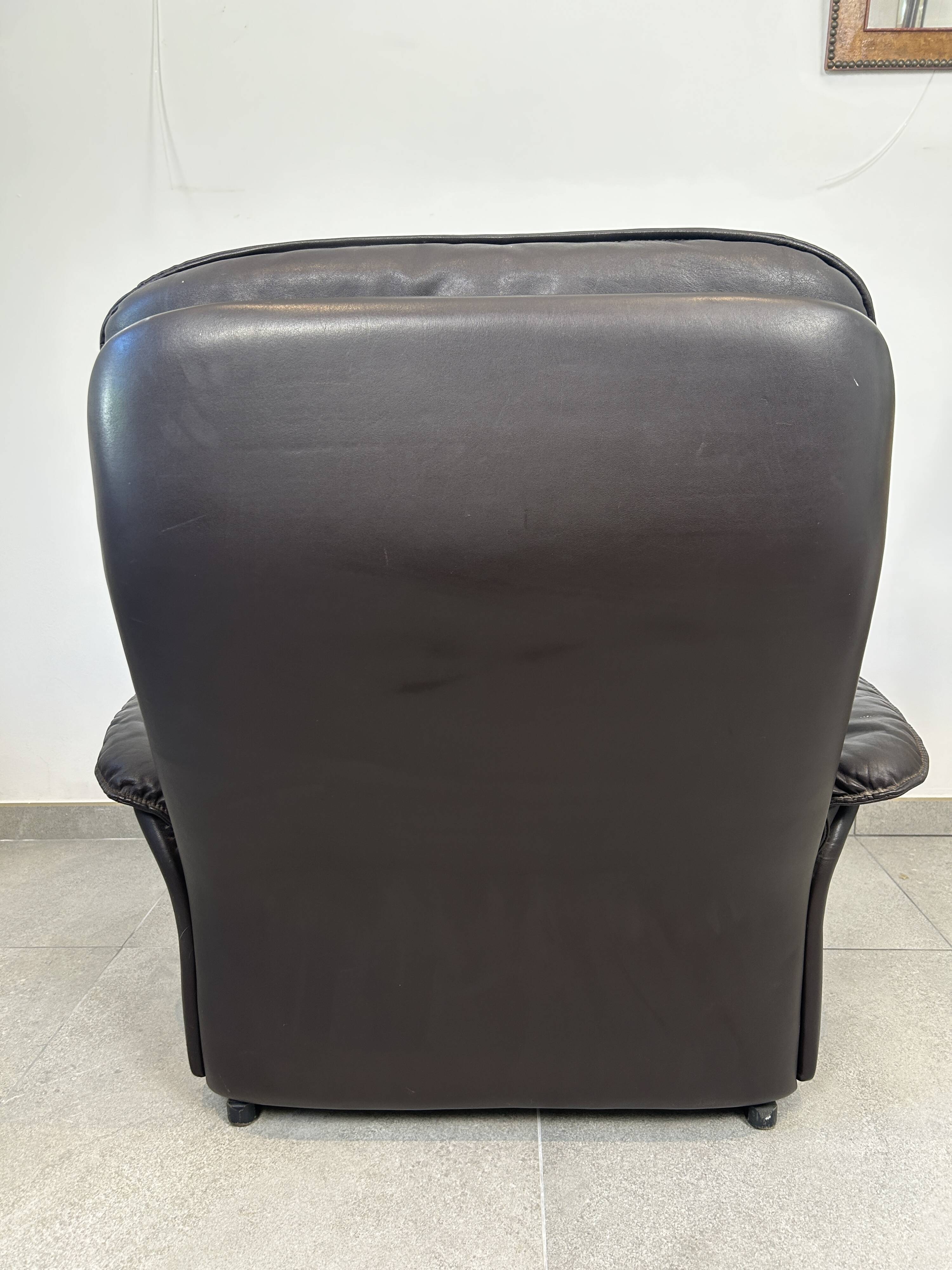 Fauteuil de Sede DS-49