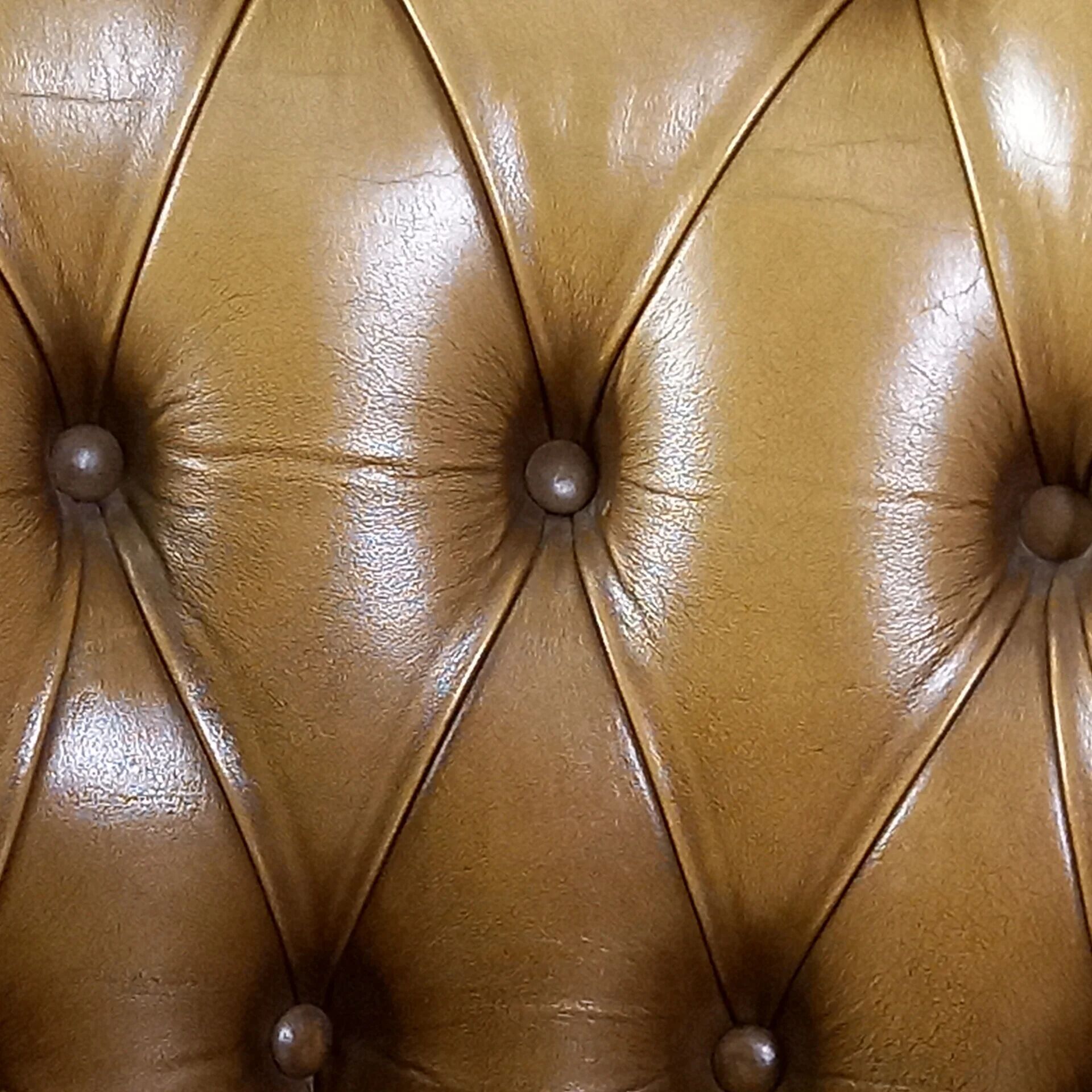 Chesterfield club armchair in baroque style