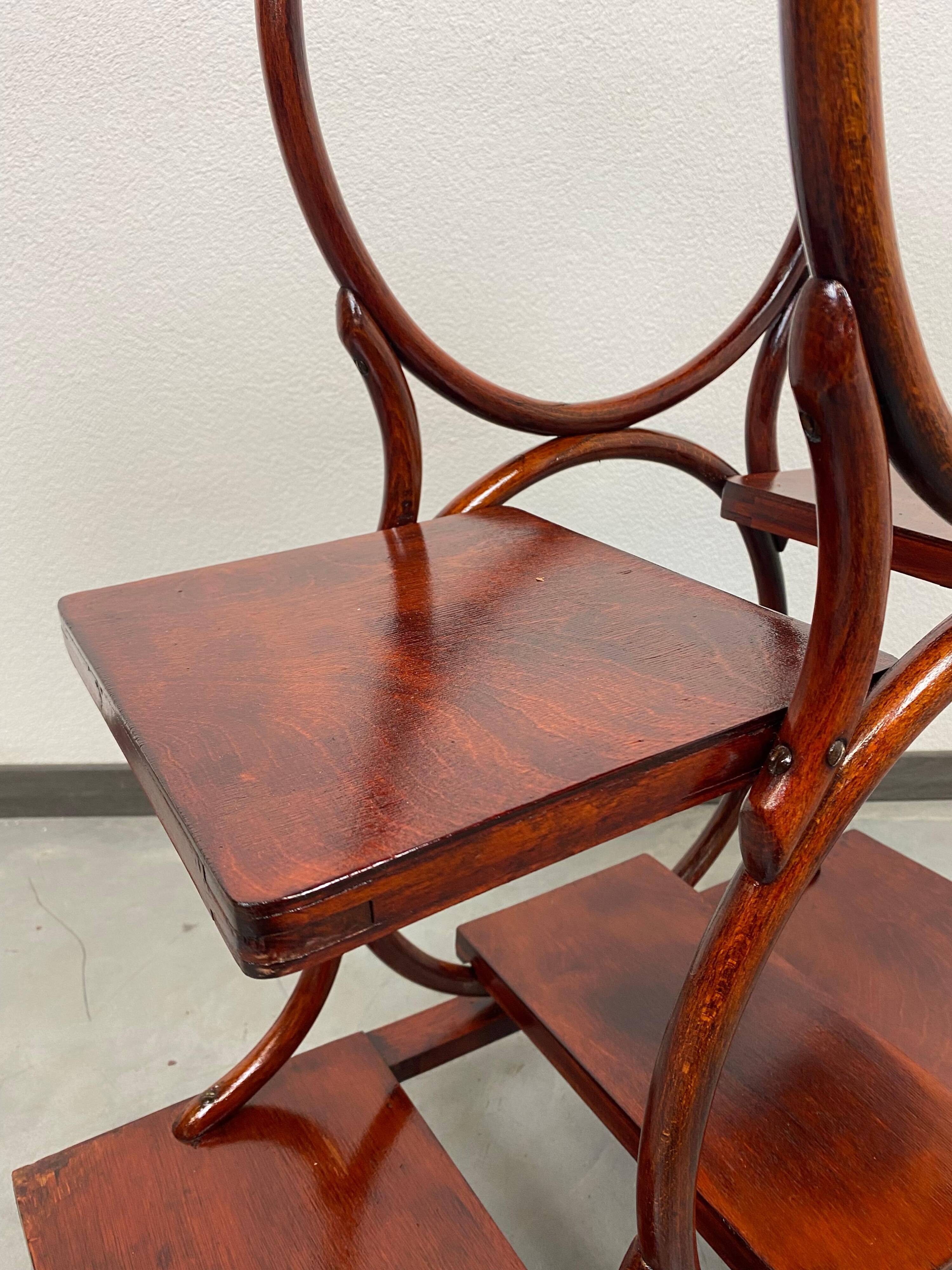 Porte-plante en bois courbé par Thonet