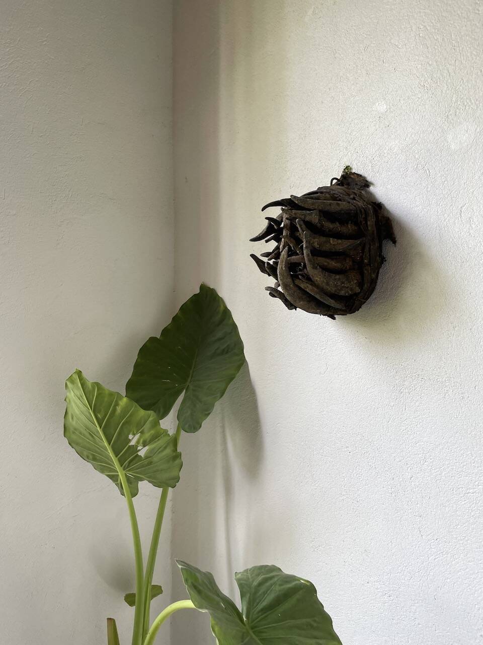 Bété Nyabwa mask Ivory Coast