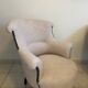 Toad chair