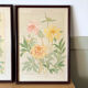 4 floral lithographs 1900