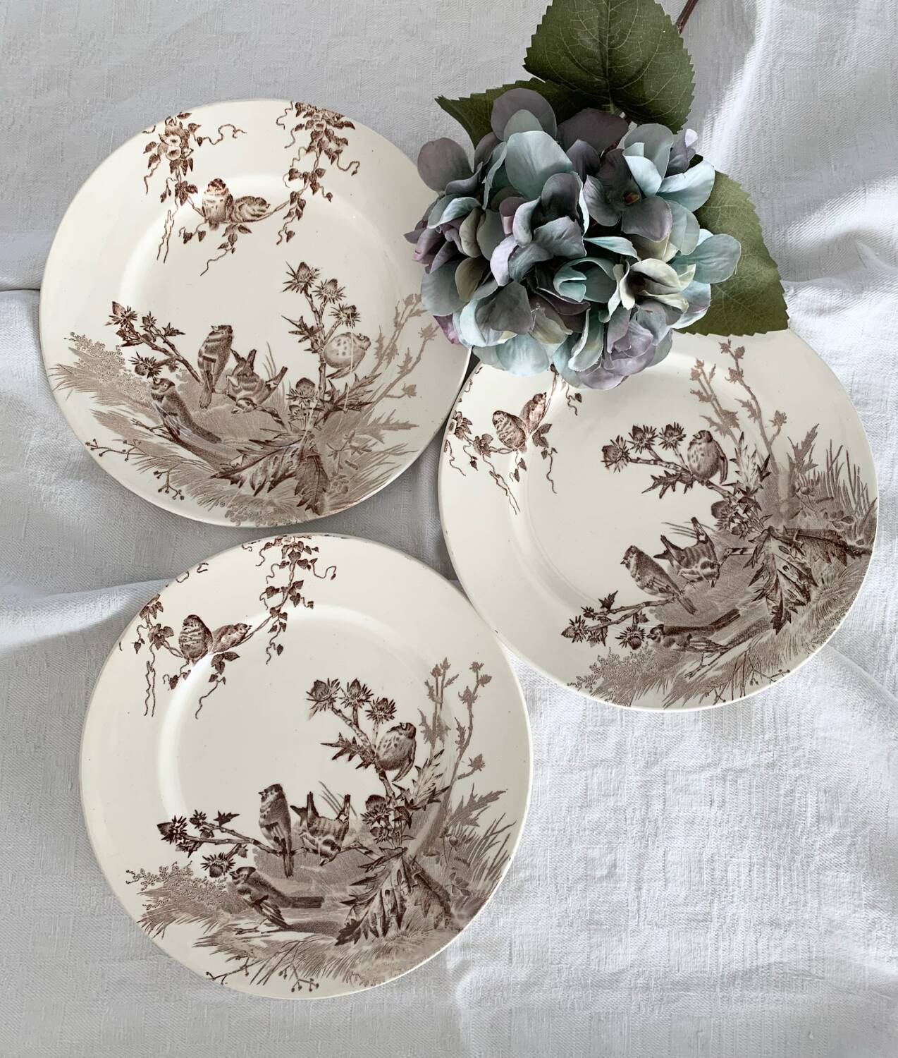 Dessert plates creil et montereau service chardonneret