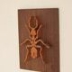 Plaque décorative en bois avec motif d'insecte