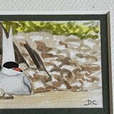 2 aquarelles oiseaux