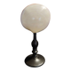 Cabinet of Curiosities codakia tigerina shell on base