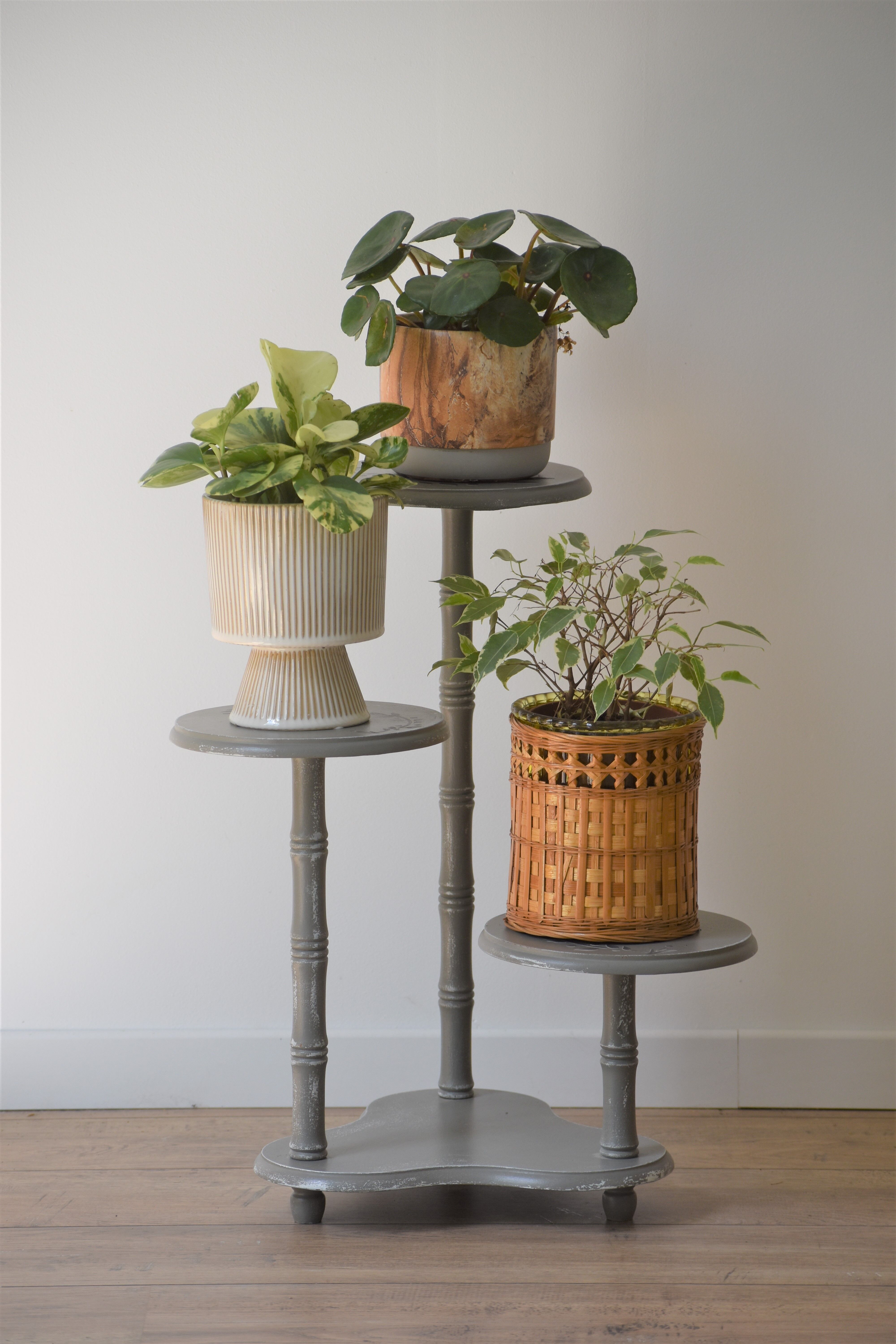 Revamped plant holder