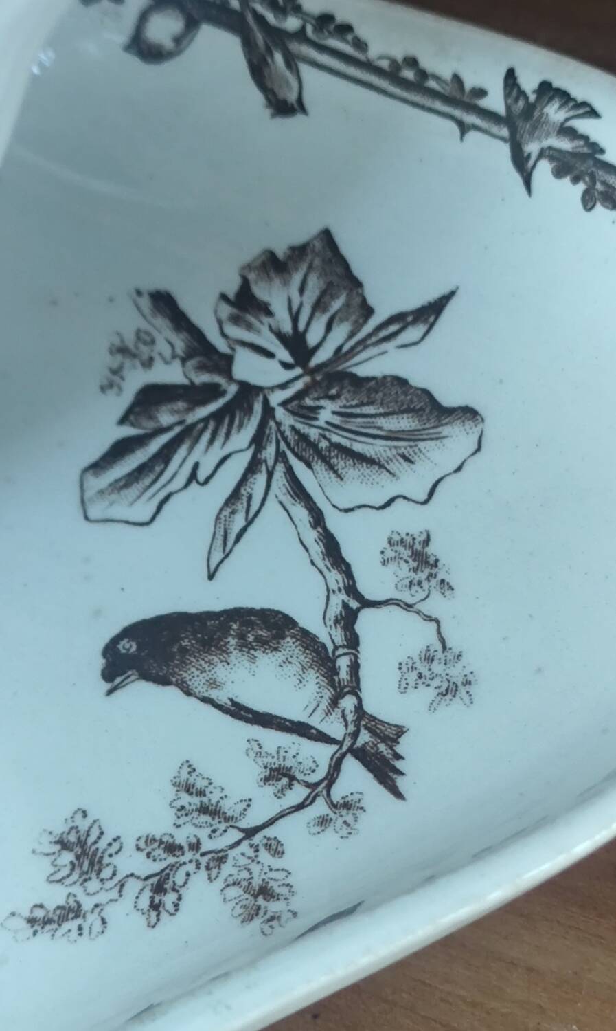 Old Dish Old Sauce Boat Terre De Fer HB & Cie/Art De Table/Sepia
