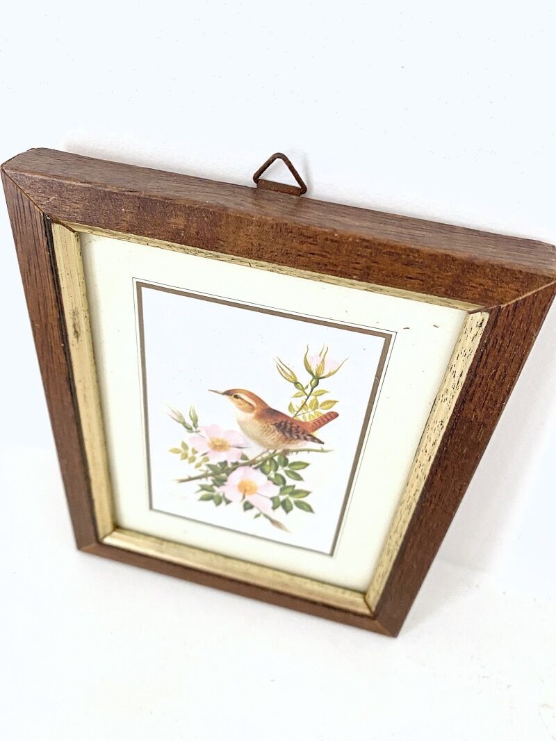Set of three ornithological frames