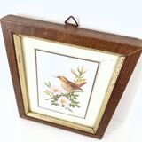 Set of three ornithological frames