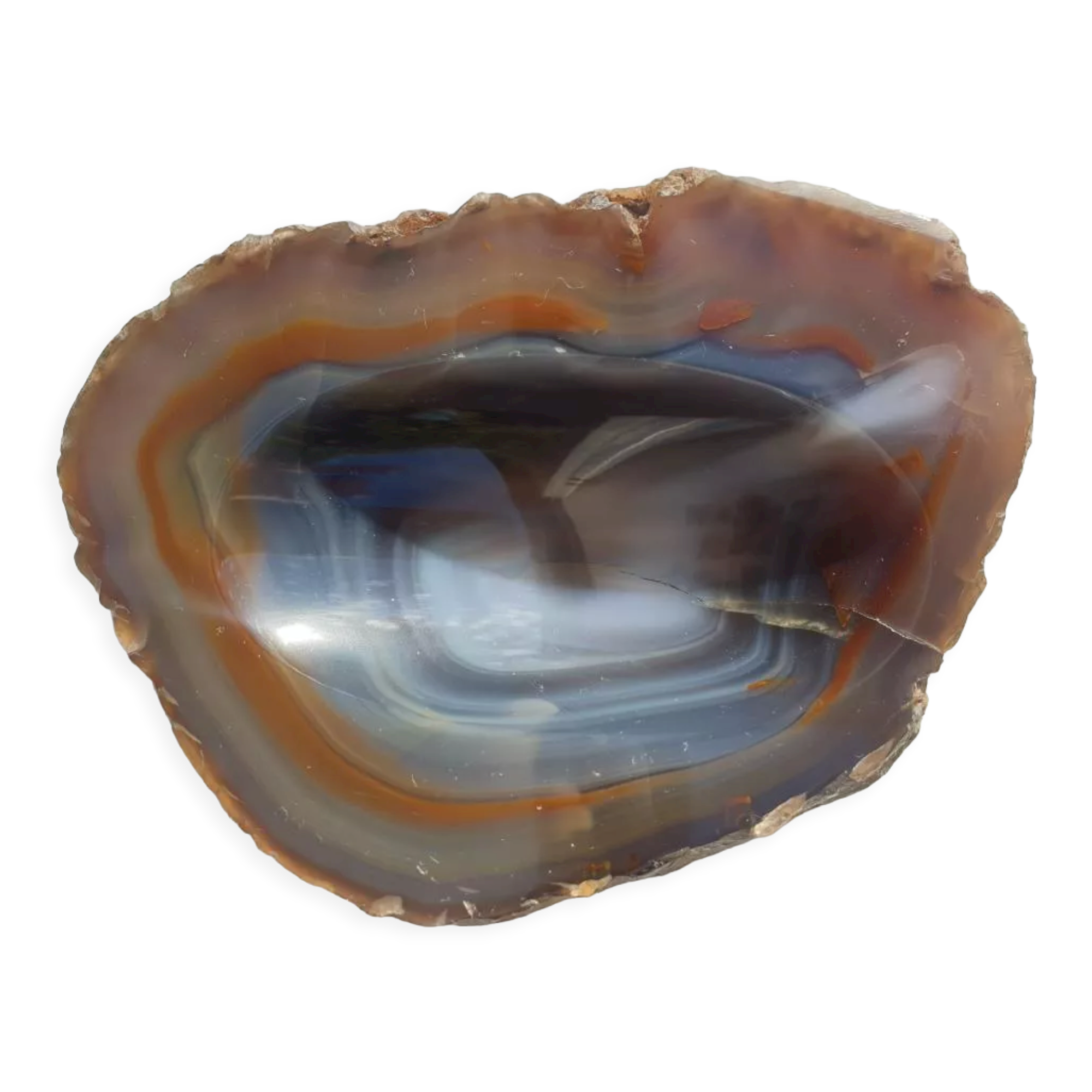Petrified wood pocket tray