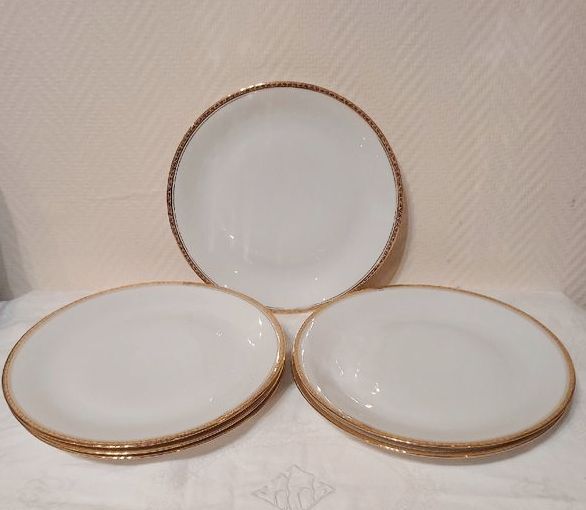 Lot 6 flat plates Limoges porcelain
