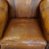 Cowhide Leather Armchair with Deep Warm Colors