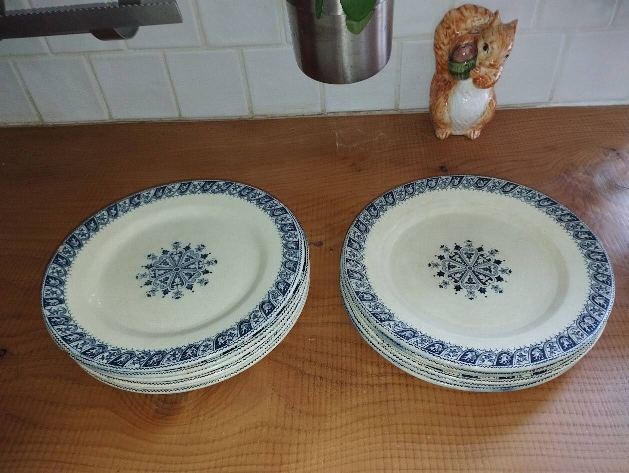 Vintage Salins "Henri II" Service – 8 Dinner Plates & 5 Soup Plates