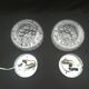 Pair of round ceiling lights
