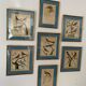 Lot de 7 gravures oiseaux