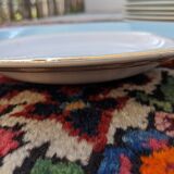 Lot of 11 hollow plates L'Amandinoise