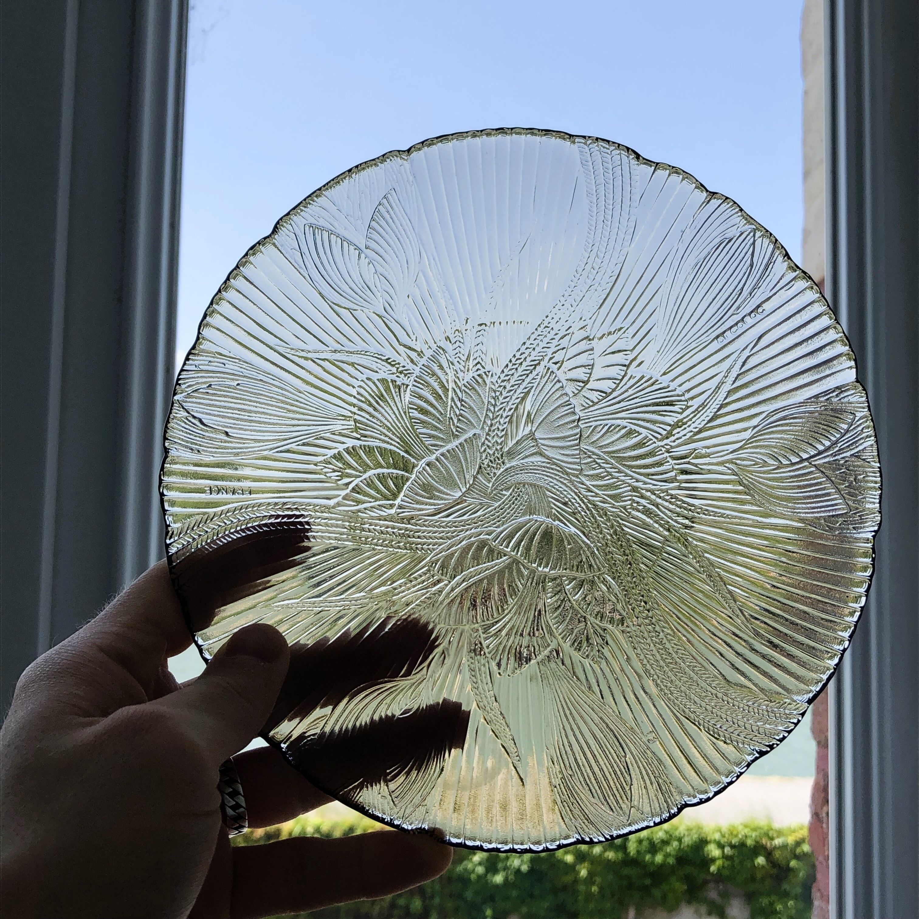 Lot 5 glass plates Arcoroc France smoked pattern flower crocus vintage CANTERBURY