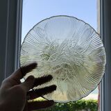 Lot 5 glass plates Arcoroc France smoked pattern flower crocus vintage CANTERBURY