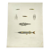 Original antique engraving Fish Algeria 1850 Guichenot Exploration