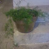 Ancien cache pot en laiton