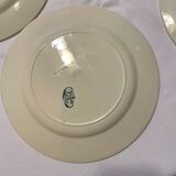 Plates Terre de Fer