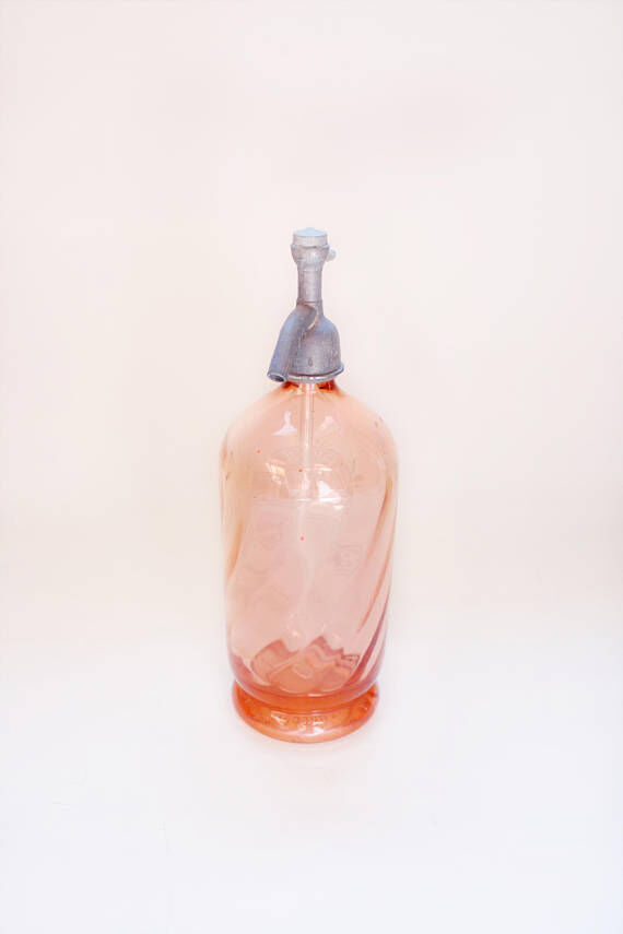 Siphon glass rose