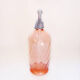 Siphon glass rose