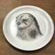 Dessous de bouteille Sempo la loutre