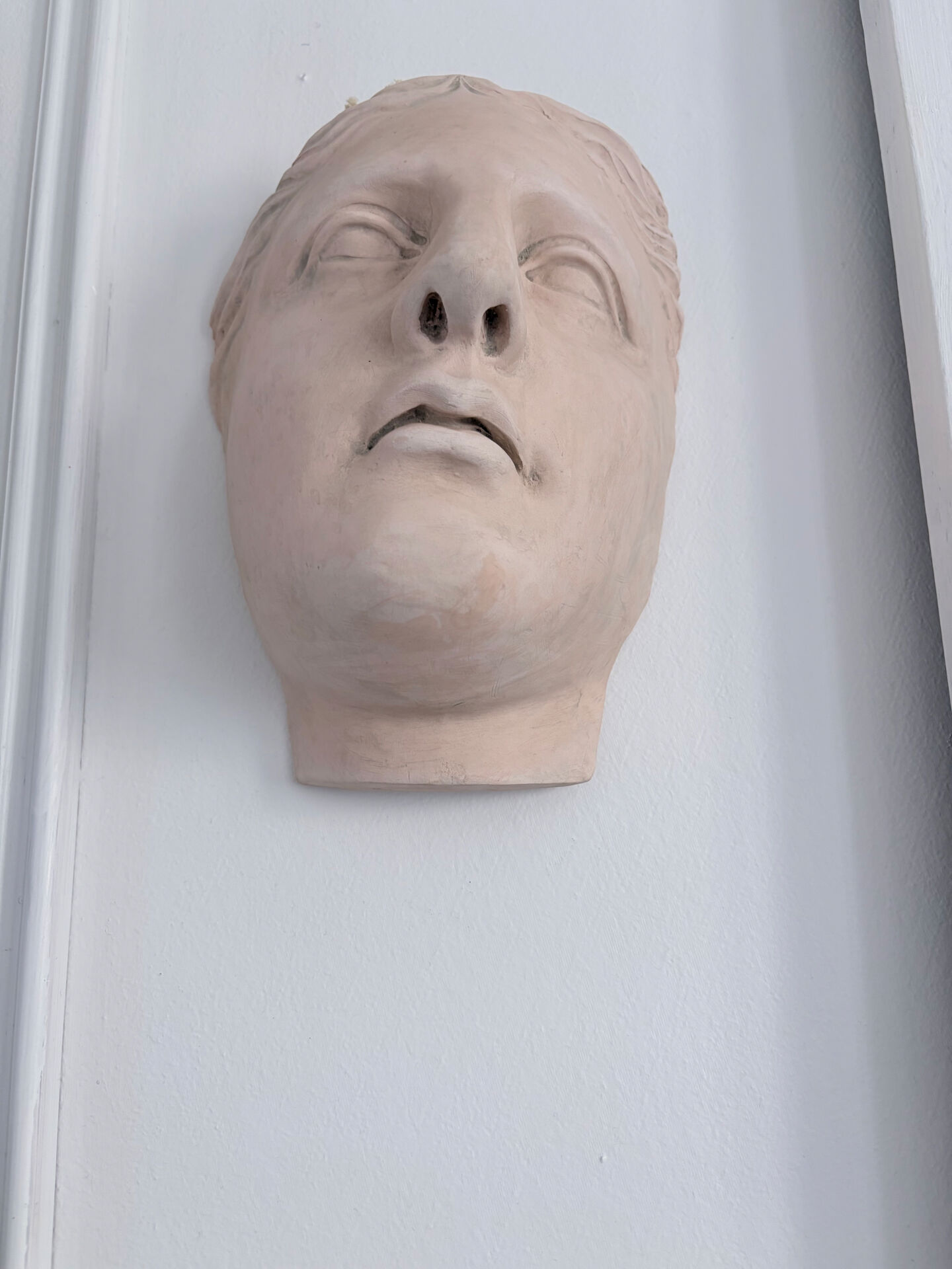 Wall sculpture of the face of the Venus de Milo in plaster.