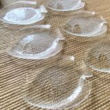 Glass fish plates