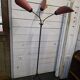 Lampadaire tripode des années 60