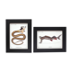 Lot de 2 chimère encadrées lithographie gravure animal