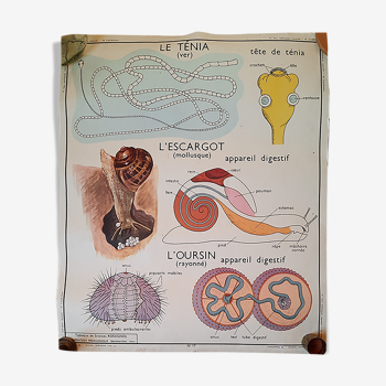 Rossignol pedagogical map