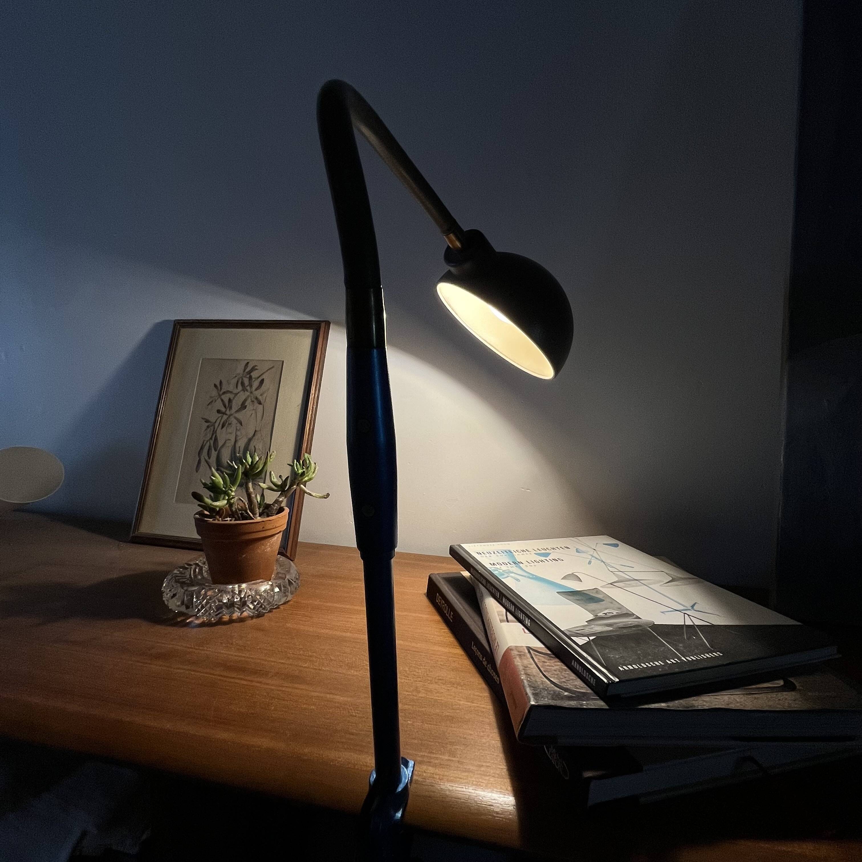 Architect's lamp, industrial workshop lamp Adher