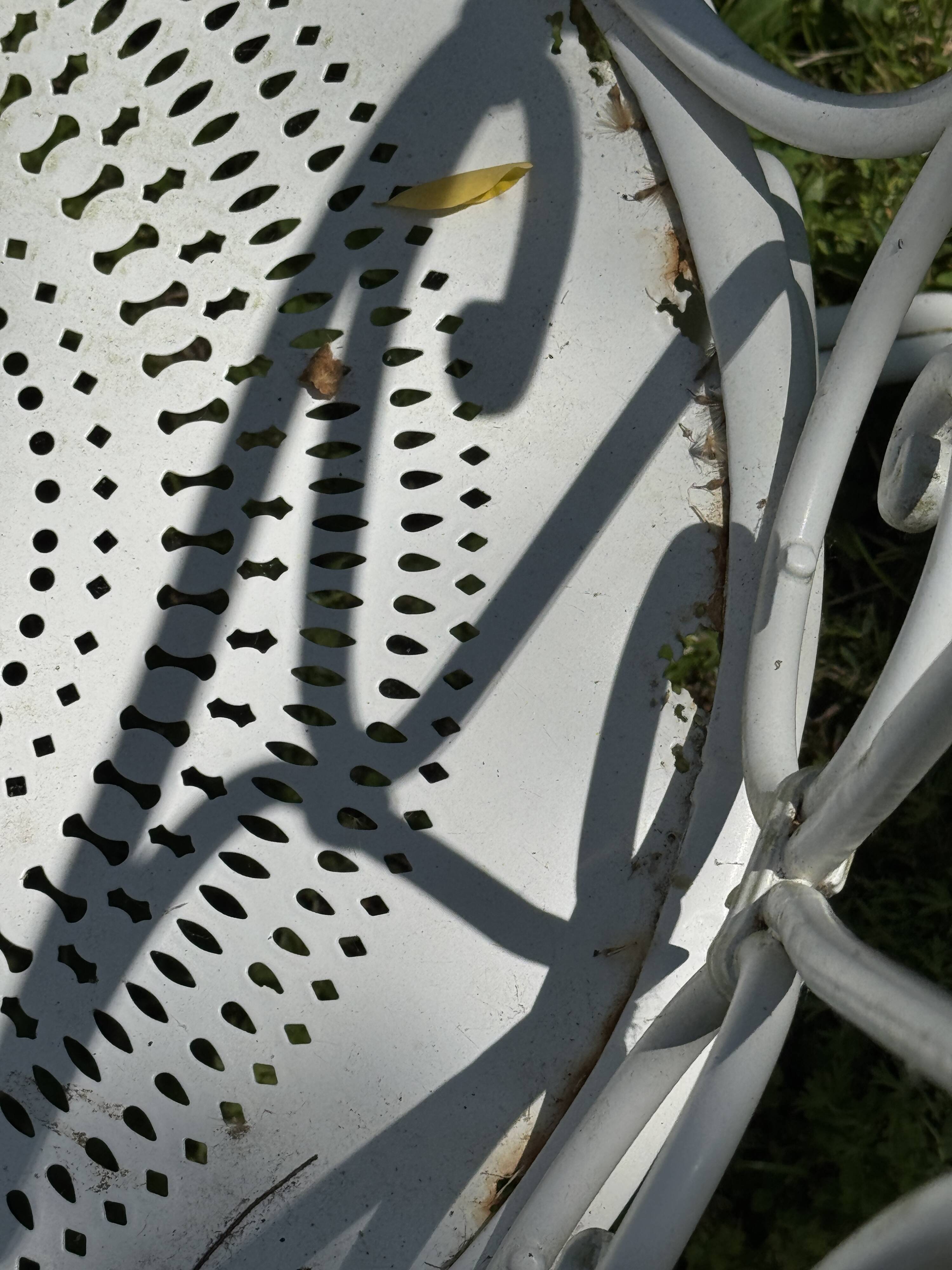 White lacquered wrought iron garden furniture — Belle Époque / 1950s style