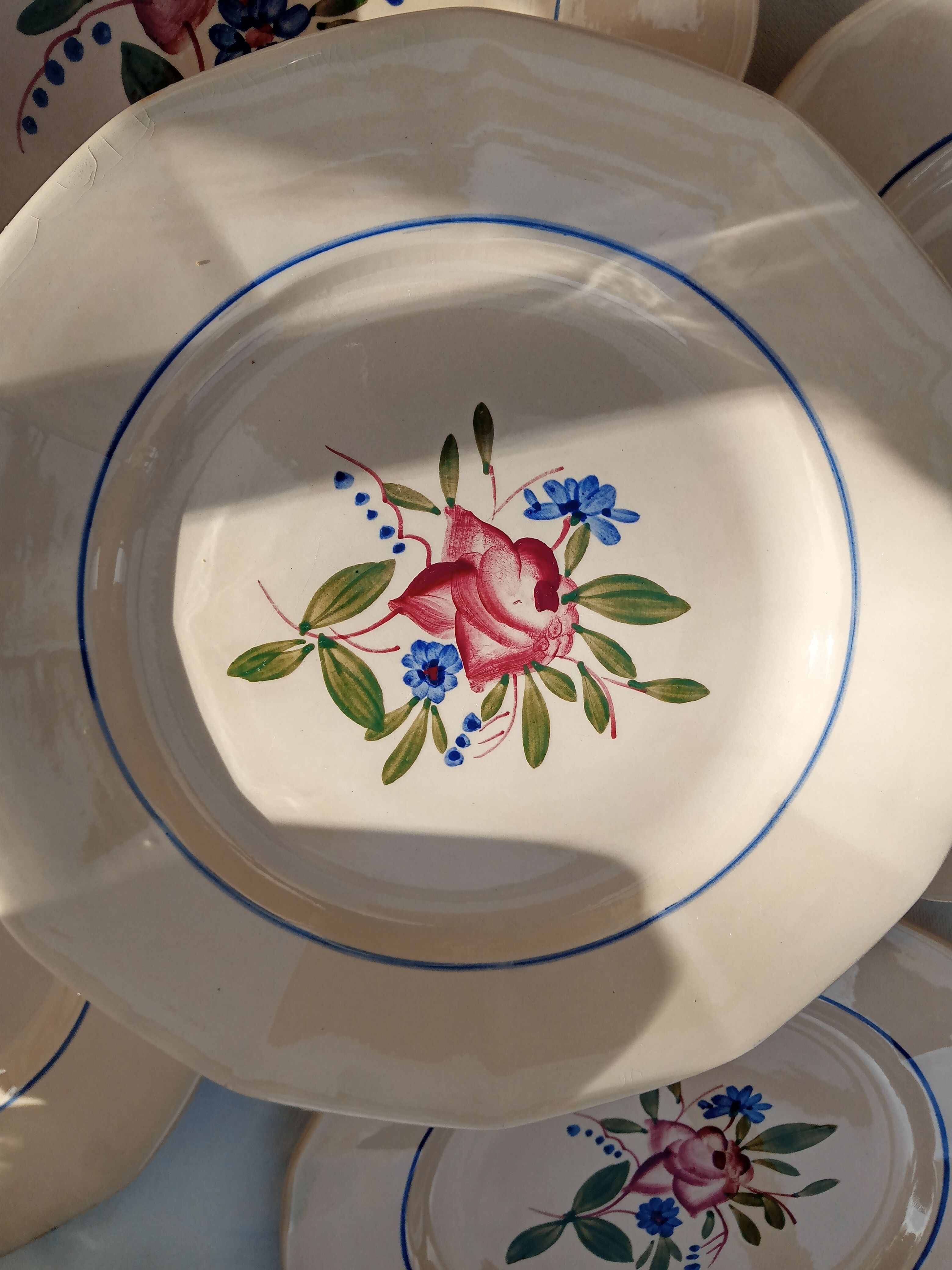 12 flat plates Digoin