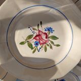 12 flat plates Digoin