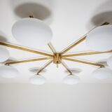 Canopy stella collection