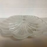 Scallop shell ring holder